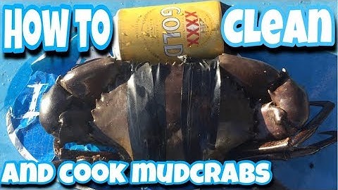 HOW TO CLEAN & COOK MUDCRABS. The Professional Australian Way.