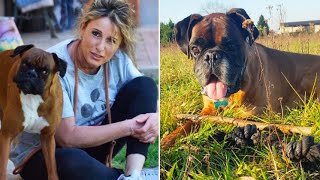 La missione di Alessia e Aiutami Boxer Rescue: 'Così salviamo cani abbandonati e maltrattati'