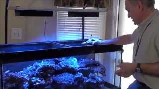 Download Lagu Part I - Paletta LED Experimental - Reef Video Podcast by AmericanReef - Start a Saltwater Aquarium MP3