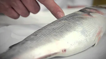 Come si fa a capire se il pesce è cotto?