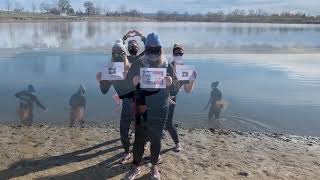 Virtual Polar Plunges