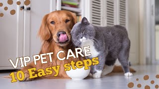How can I give VIP pet care to my Pet? In 10 easy steps.
