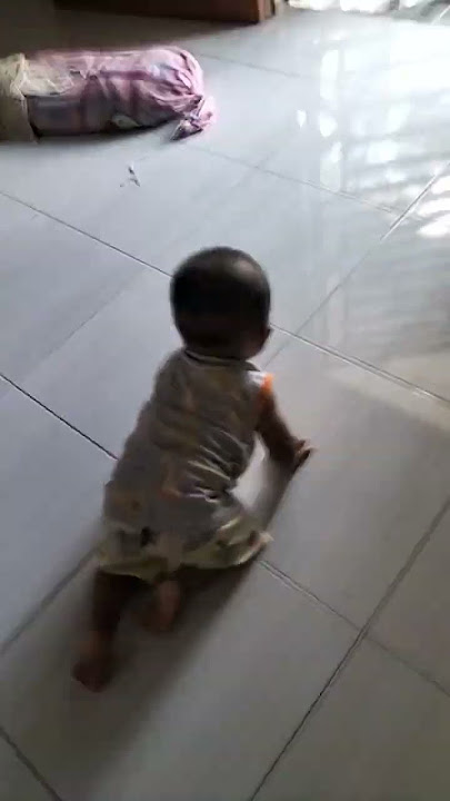 sheliana