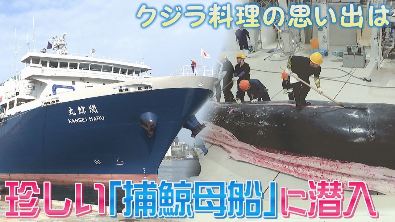 First Port Call at Hakata] New Whaling Mothership 