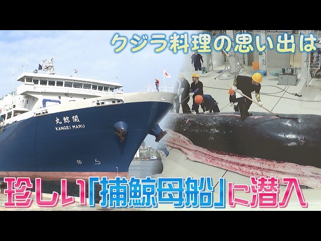 First Port Call at Hakata] New Whaling Mothership 