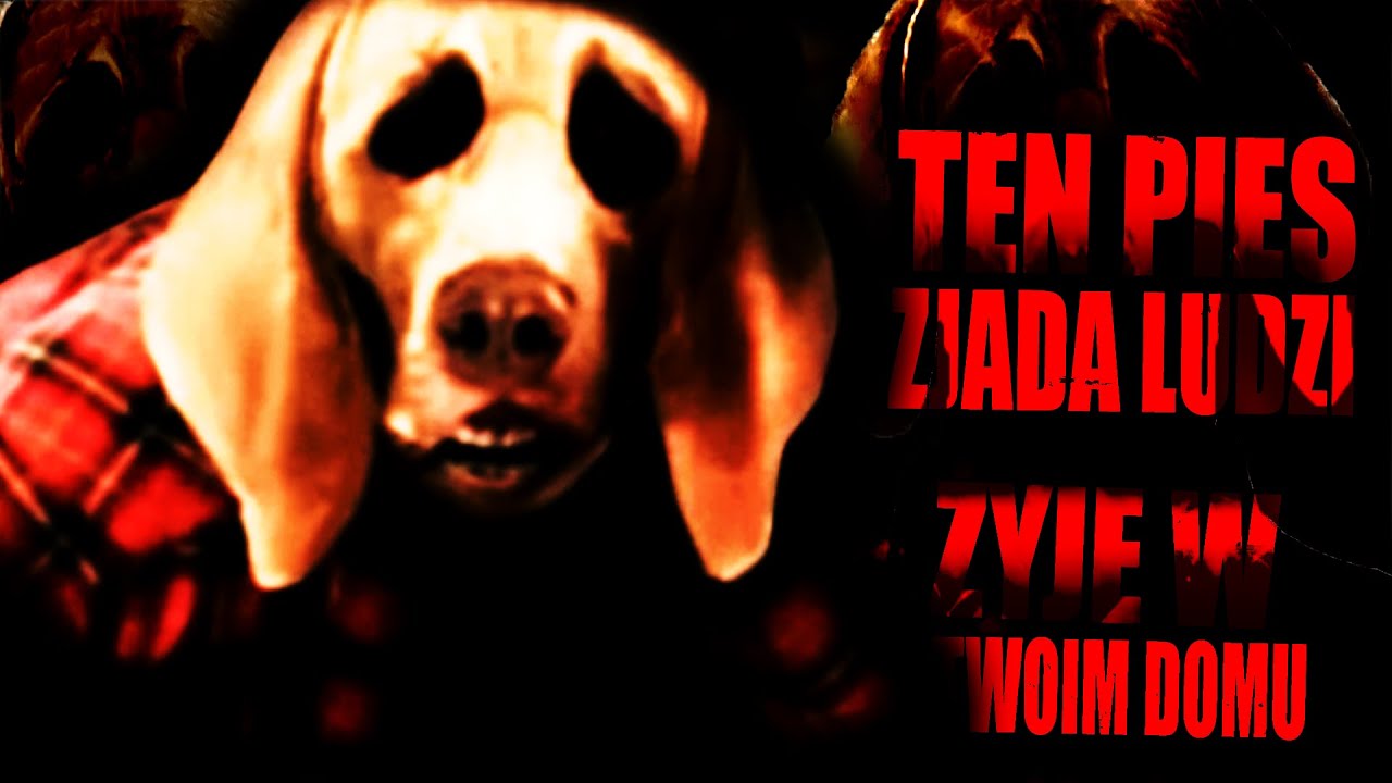 CZŁOWIEK PIES, KTÓRY WEJDZIE CI DO DOMU - DOG NIGHTMARES