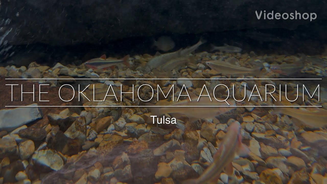Native Stream Display at the Oklahoma Aquarium