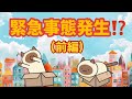 【ドッキリ企画】(猫の集会で、メンバーを騙してみたら…)前編
