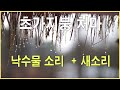 힐링 명상 자연의소리 -물방울 떨어지는소리 + 새소리