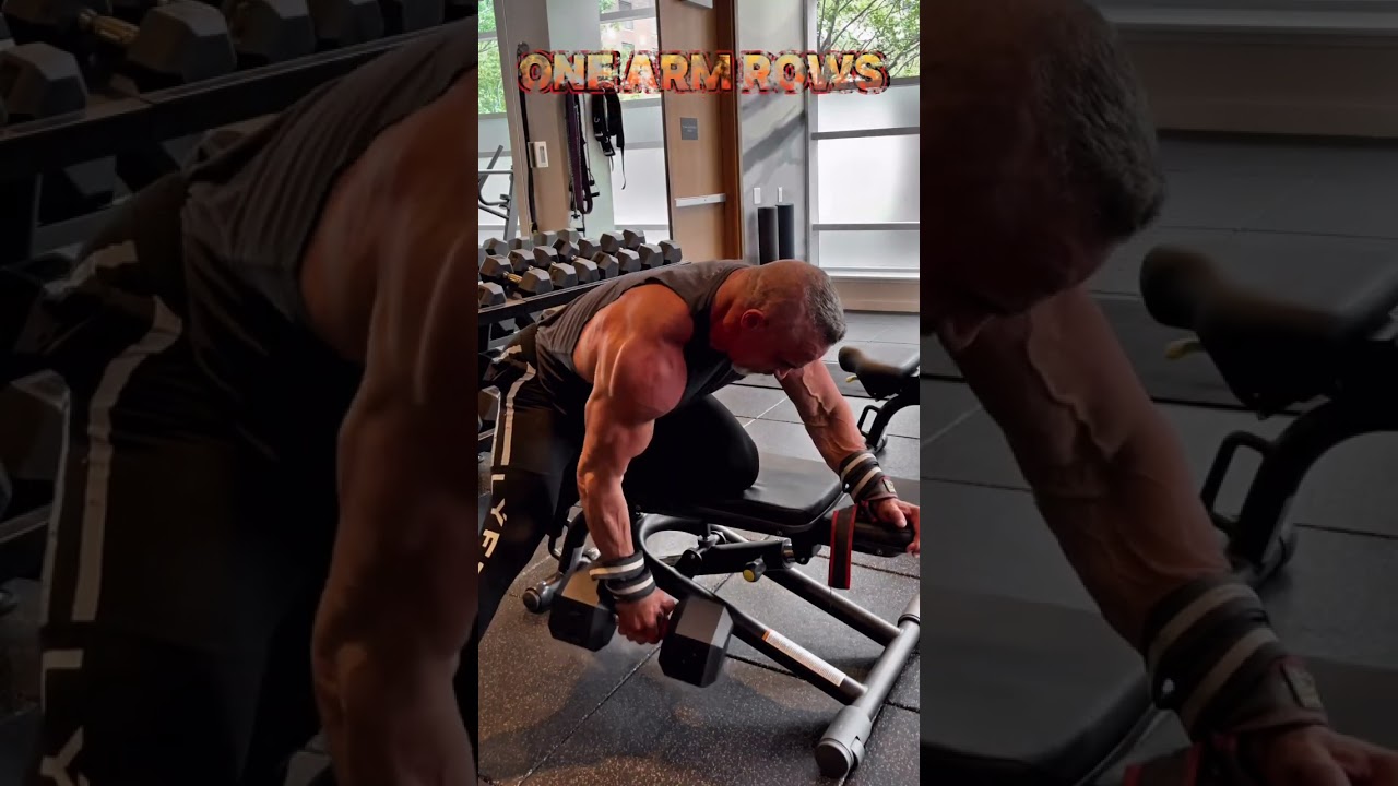 BACK ONE ARM ROWS #workout #muscle #motivation #exercise #BACK