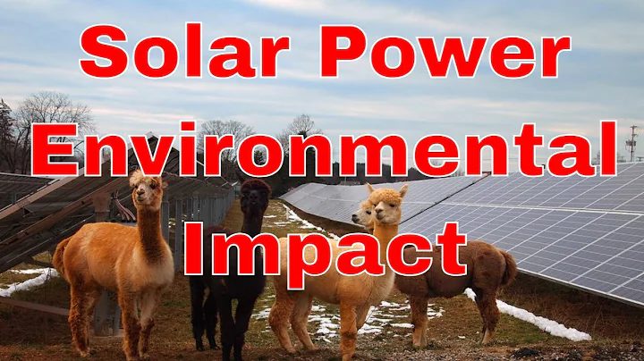 Solar Energy's Environmental Impact: Wildlife and Beyond