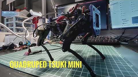 Quadruped Robot Tsuki Mini late night testing