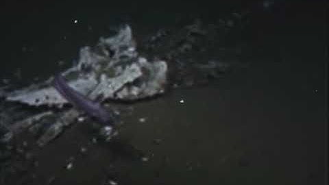 D-52 Unlisted | "A Film About the Abyss"