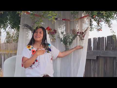2023 PLACE & 7GEN Central Valley Community Gathering Ana Noyola Artist's TALK (Spanish and English)