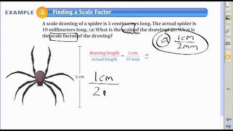 Finding a Scale Factor