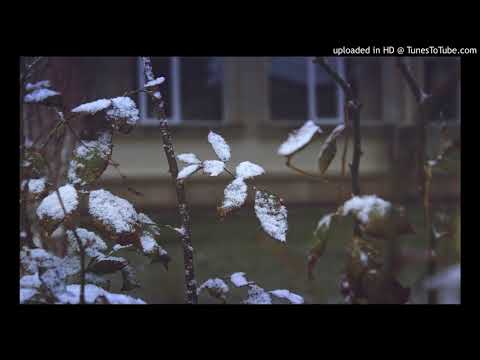 鳥になった少年の唄