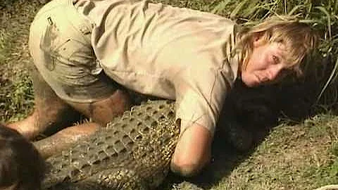 The Crocodile Hunter:Steve's Greatest Crocodile Captures (1/8)