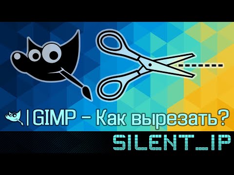 Vídeo: Com Fer Un Avatar A Gimp