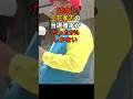 立花孝志の当選確率がたった9%しかないという情勢予想が出る