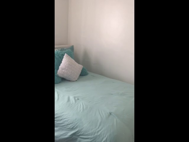 Video 1: bed