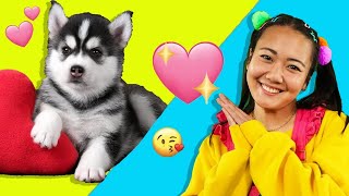 How to take care of a puppy! 🐶 Puppy Day | Ellie Jr. - WildBrain | Full HD Episodes