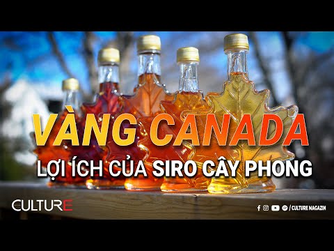 Video: 5 cách làm dưa chua