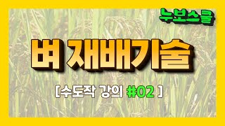 🌾 [수도작 2편] 벼 재배 기술 기초 강의 '비료'