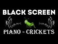 Relaxing music and night nature sounds with crickets black screen