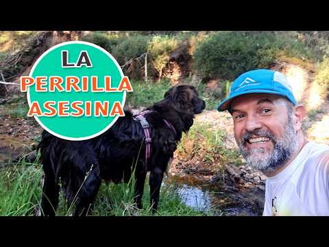 La perrilla asesina