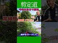《自分で剪定》コストを抑えて楽しさに！！ #剪定方法 #庭作業 #庭木の管理 #切り戻し #庭木の手入れ #庭木の剪定 #ガーデンライフ #庭じまい #初心者