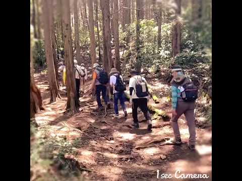 石岡市民講座〜筑波山〜  2024年6月5日