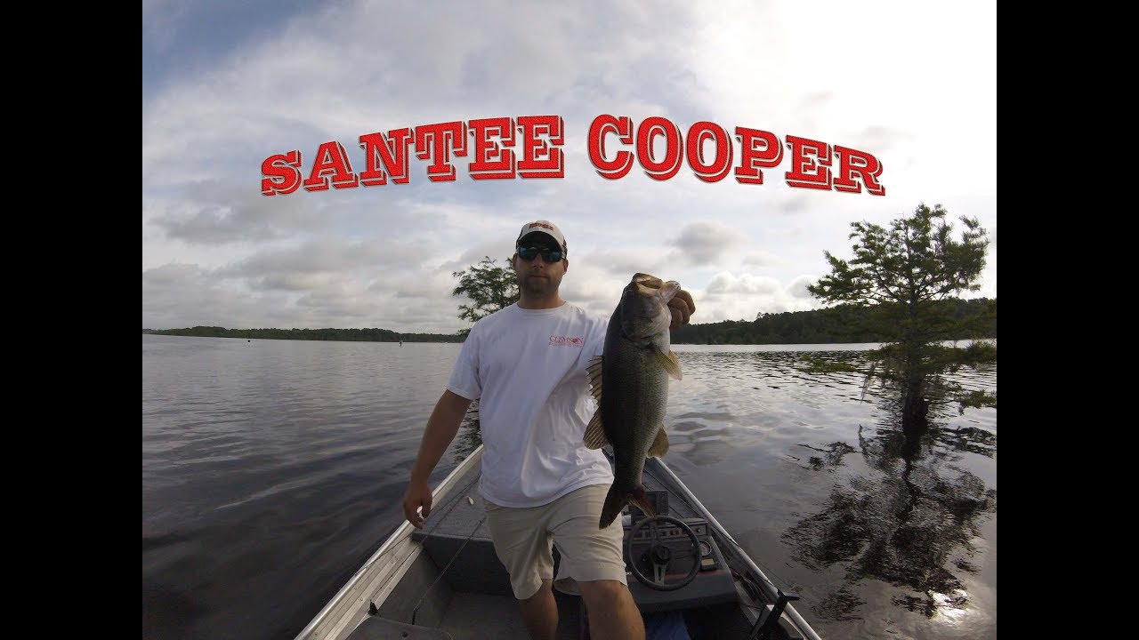 Santee Cooper Bass Fishing Part II SPRING TIME ACTION! Lake Marion
