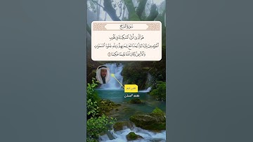 الشيخ نعمة الحسان - سورة الفتح - الآية 4