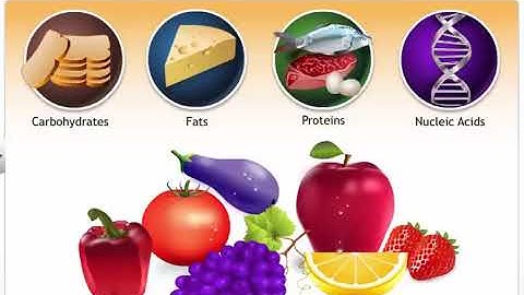 CBSE Class 9 Science ¦¦ Natural Resources  2 ¦¦ Biogeochemical Cycles ¦¦ NCERT Animation