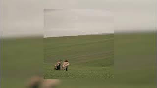 olivia rodrigo - cant catch me now (sped up)