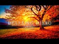 New Music Playlists for Relaxation - Positive Energy For The New Day - Wake Up Happy🌞Morning Music