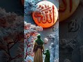 Islamic shorts #shorts #love #trending #ytshorts #viral #video #islamic
