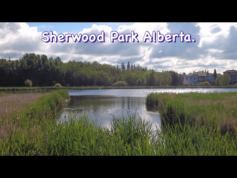 Walking with Bruce. Episode 474. A walk in Sherwood Park Alberta, the road trip continues.