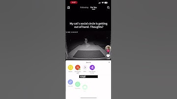 How To Get Tiktok Comments