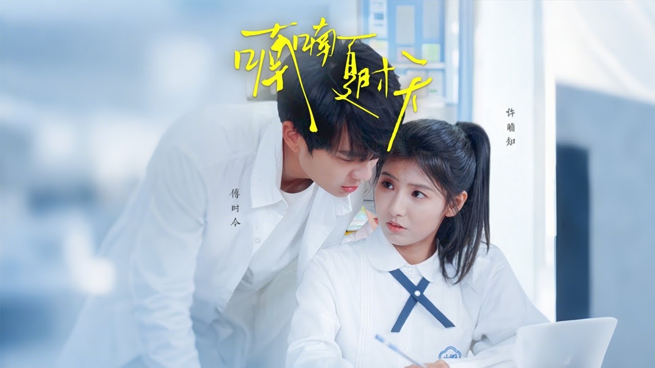 跨越鸿沟的夏日恋曲