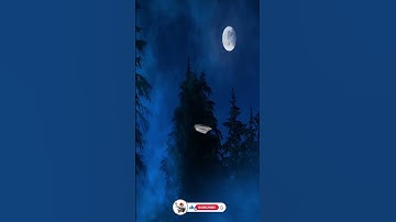 Thumbnail of Ghost appeared on the full moon night  😱😨