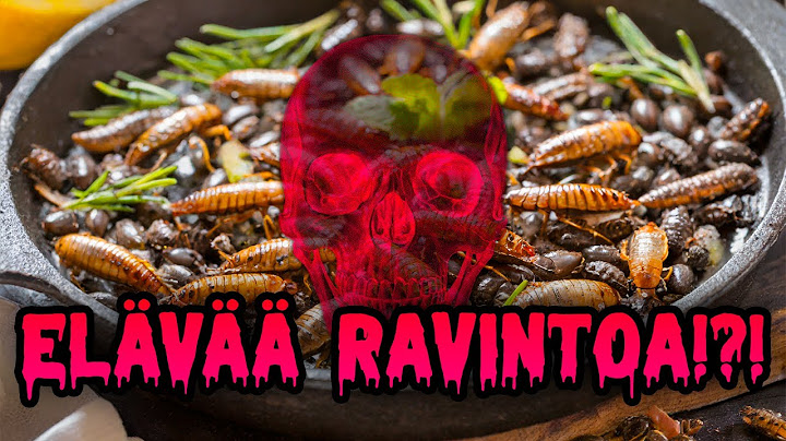 ELÄVÄÄ RAVINTOA THAIMAASSA?!