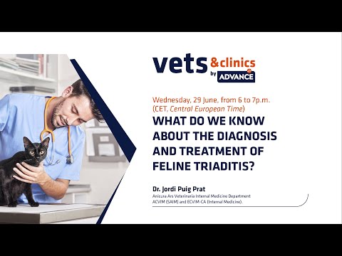 “WHAT DO WE KNOW ABOUT THE DIAGNOSIS AND TREATMENT OF FELINE TRIADITIS?”