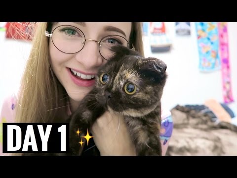 STOP CALLING ME | vlogmas day 1