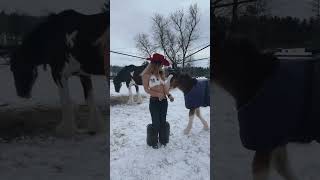 Download Lagu Winter wonderland #itsamandalee MP3