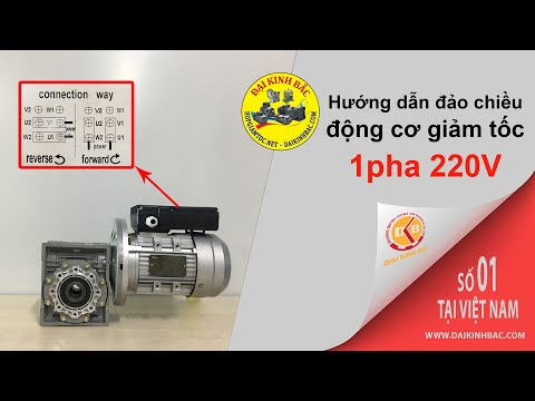 Video HƯỚNG DẪN ĐẢO CHIỀU ĐỘNG CƠ GIẢM TỐC 1 PHA 220V - youtube