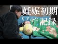 【妊娠前期ドキュメント】安定期に入ったので嫁の頑張った記録を残したい。妊娠5ヶ月戌の日参り。
