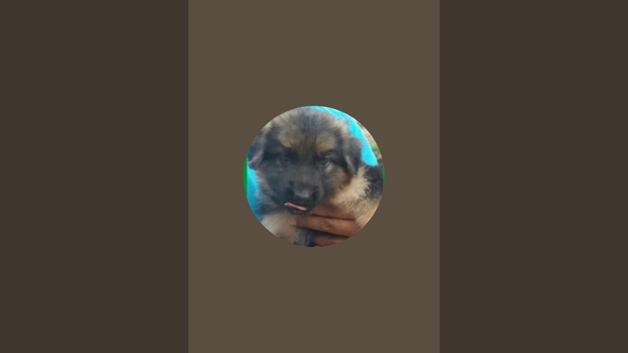 happy national day in uae ❤️