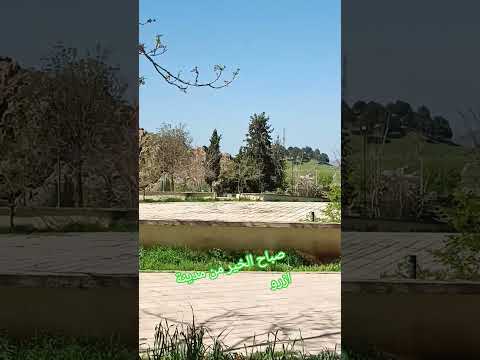 صباح الخير من مدينة ازرو ترحب بكم
