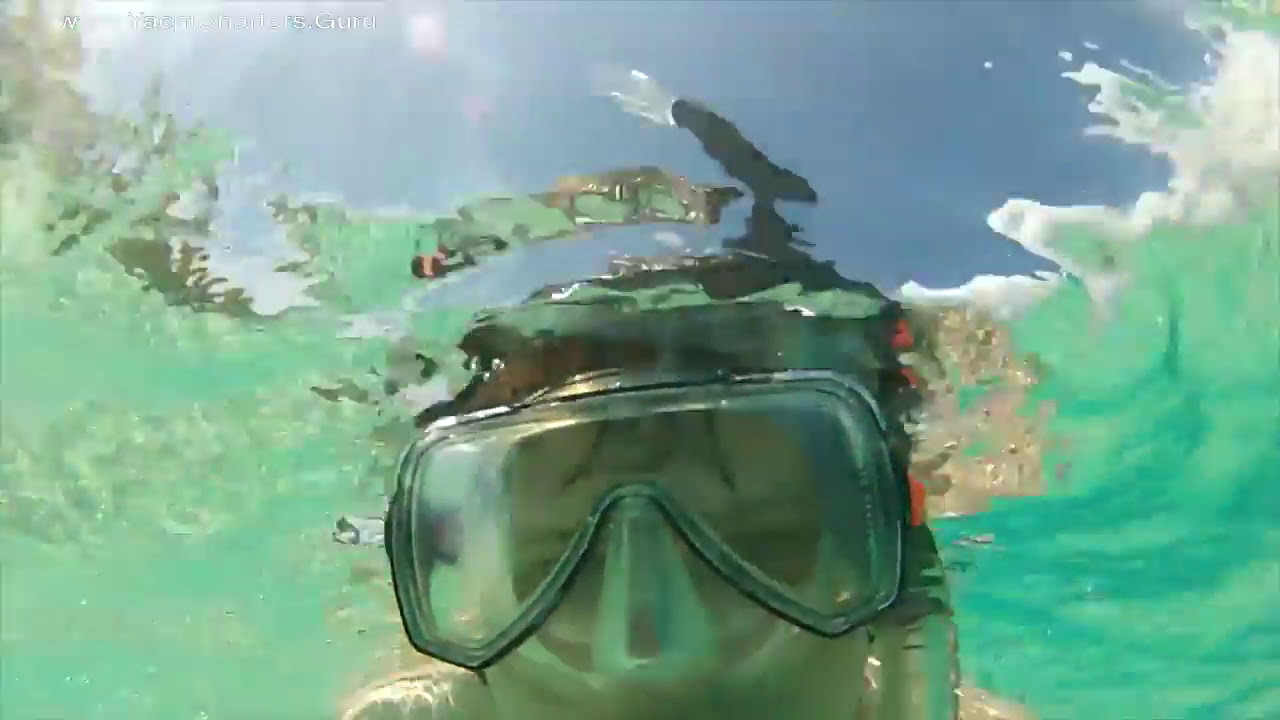 Dolphin Splash  Luxury Crewed Catamaran Yacht Charters